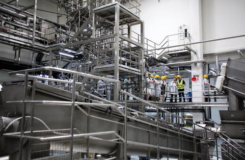 深入普瑞納工廠 雀巢加速推進冠能寵物食品創新與生產