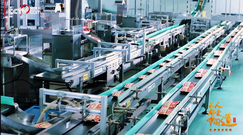 堅果行業首家入選新華社民族品牌工程，洽洽食品彰顯行業影響力